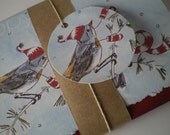SALE Happy Holidays 6 pack note cards, Birds and Mittens