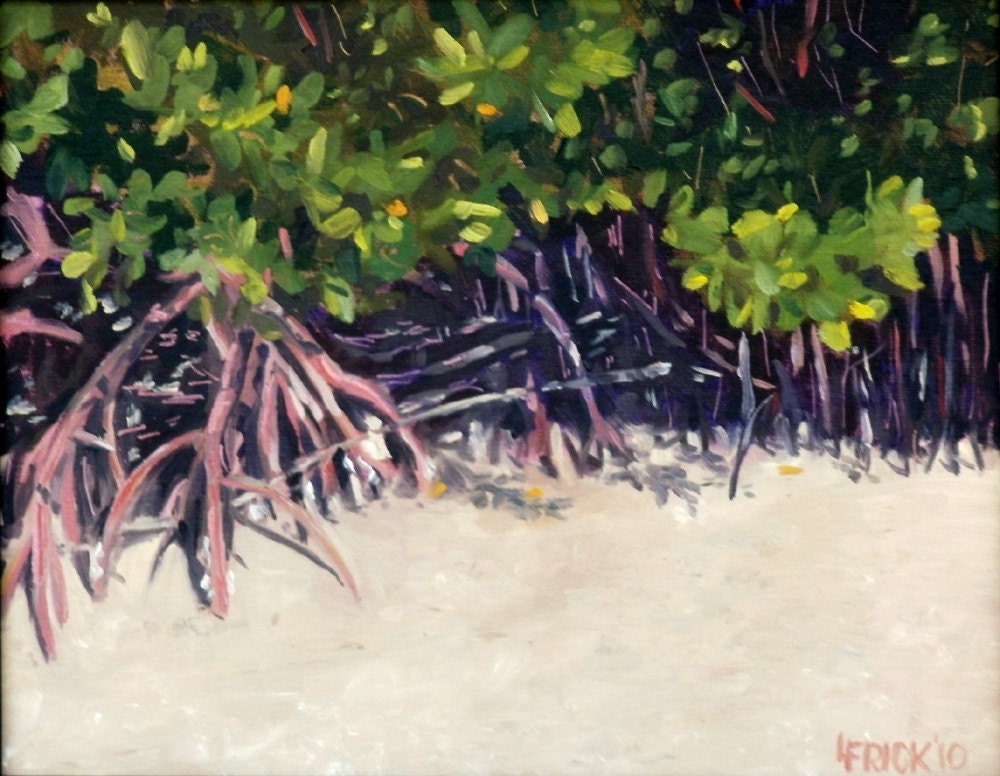 Oil Painting, Mangrove Roots, Bowditch Point, FMB