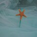 Sparkly Starfish Headband for Your Little Mermaid