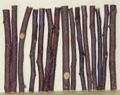 15 APPLE CHEW STICKS For Rabbits, Guinea Pigs, Chinchillas, Gerbils, Hamsters,,,,,,
