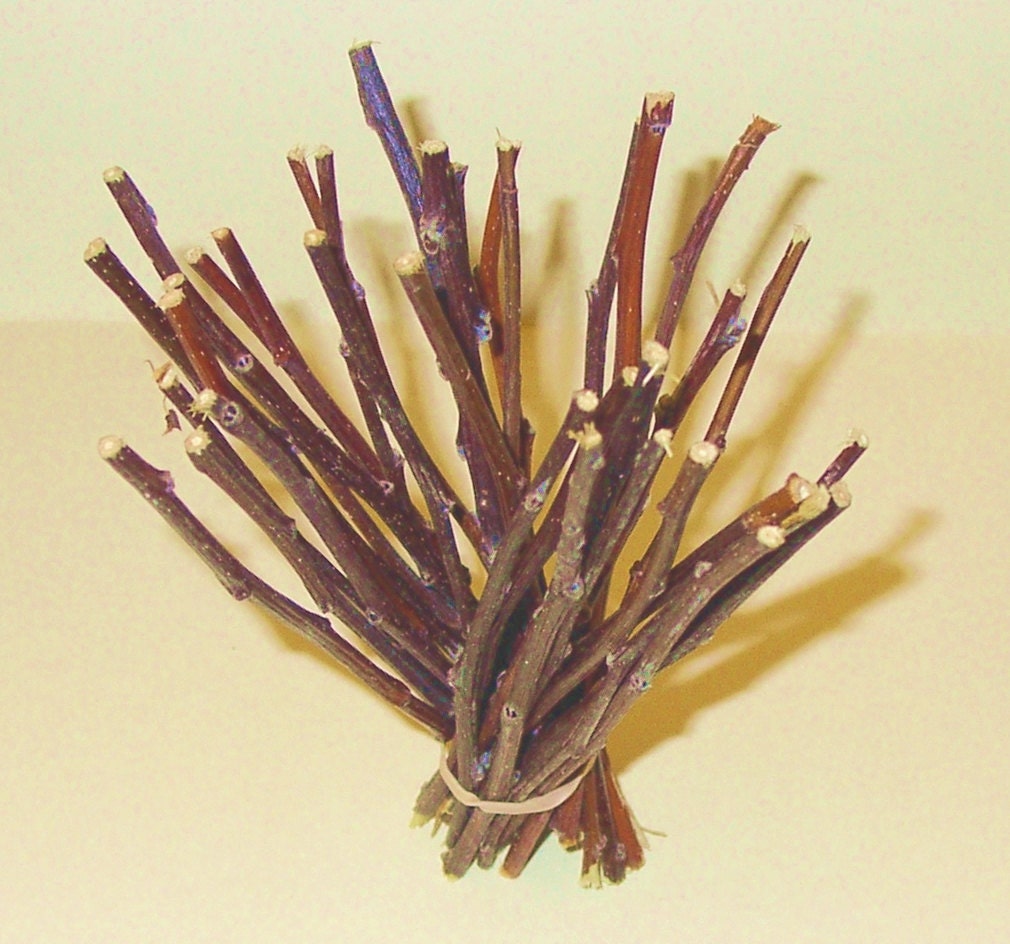 60 Premium Apple Skinny Chew Twigs For Rabbits, Guinea Pigs, Chinchillas, Gerbils, Hamsters,,,,,,