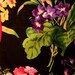 Vintage Apron in Pink and Purple Flowers