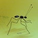 ant metal sculpture