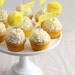 Tissue Pom-Pom Cupcake Toppers (Set of 12)