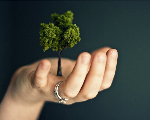Grow - 8x10 Fine Art Photographic Print