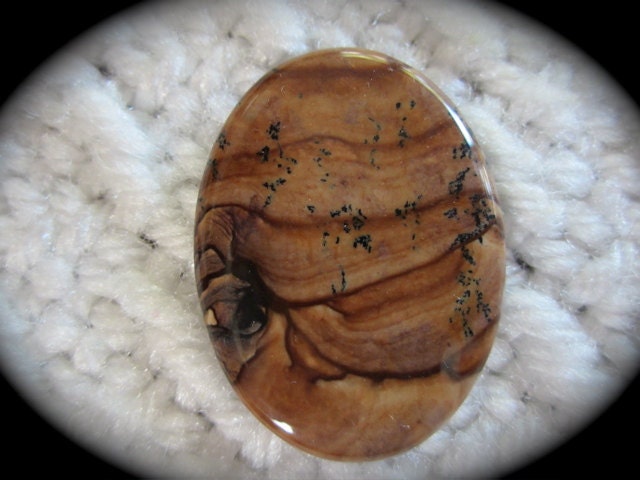 Biggs jasper cabochon/254