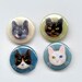 fashion pinback buttons - 1 inch diameter - "4 cats"