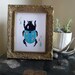 BEETLE 8.5" x 11" PRINT