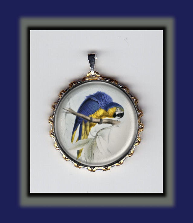 Blue Macaw Beautiful Art Brass Charm