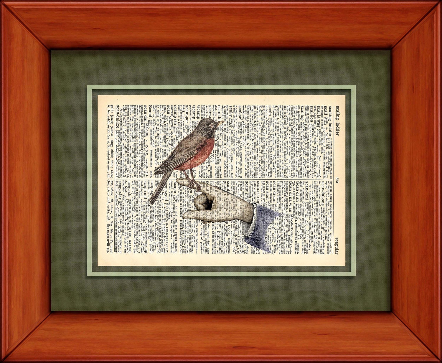 Dictionary Art Print - Robin Perched On Finger - 6 3/4" x 9 3/4" - Art Print on Upcycled Dictionary Page