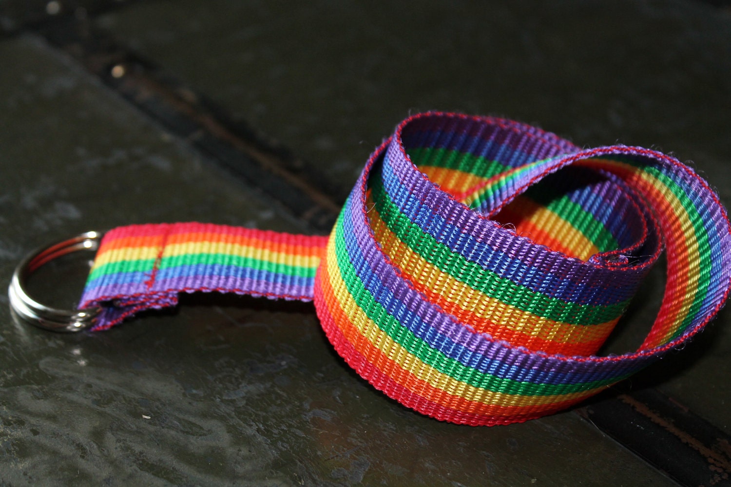 Rainbow Webbing Belt D Ring