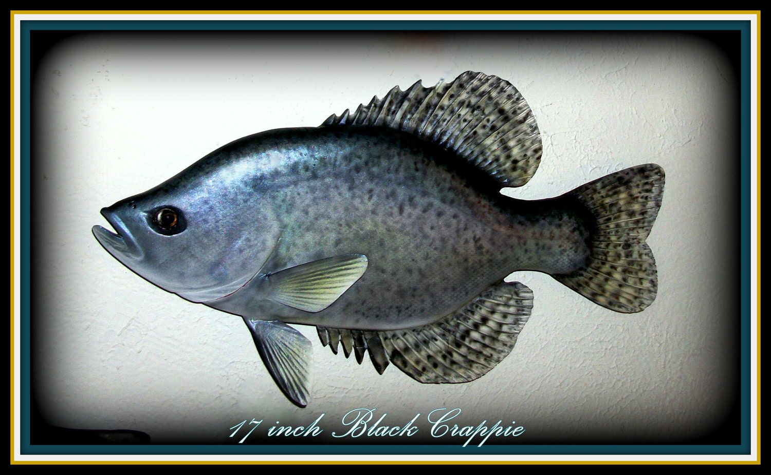 19 inch Black Crappie fish relief wood carving wall mount