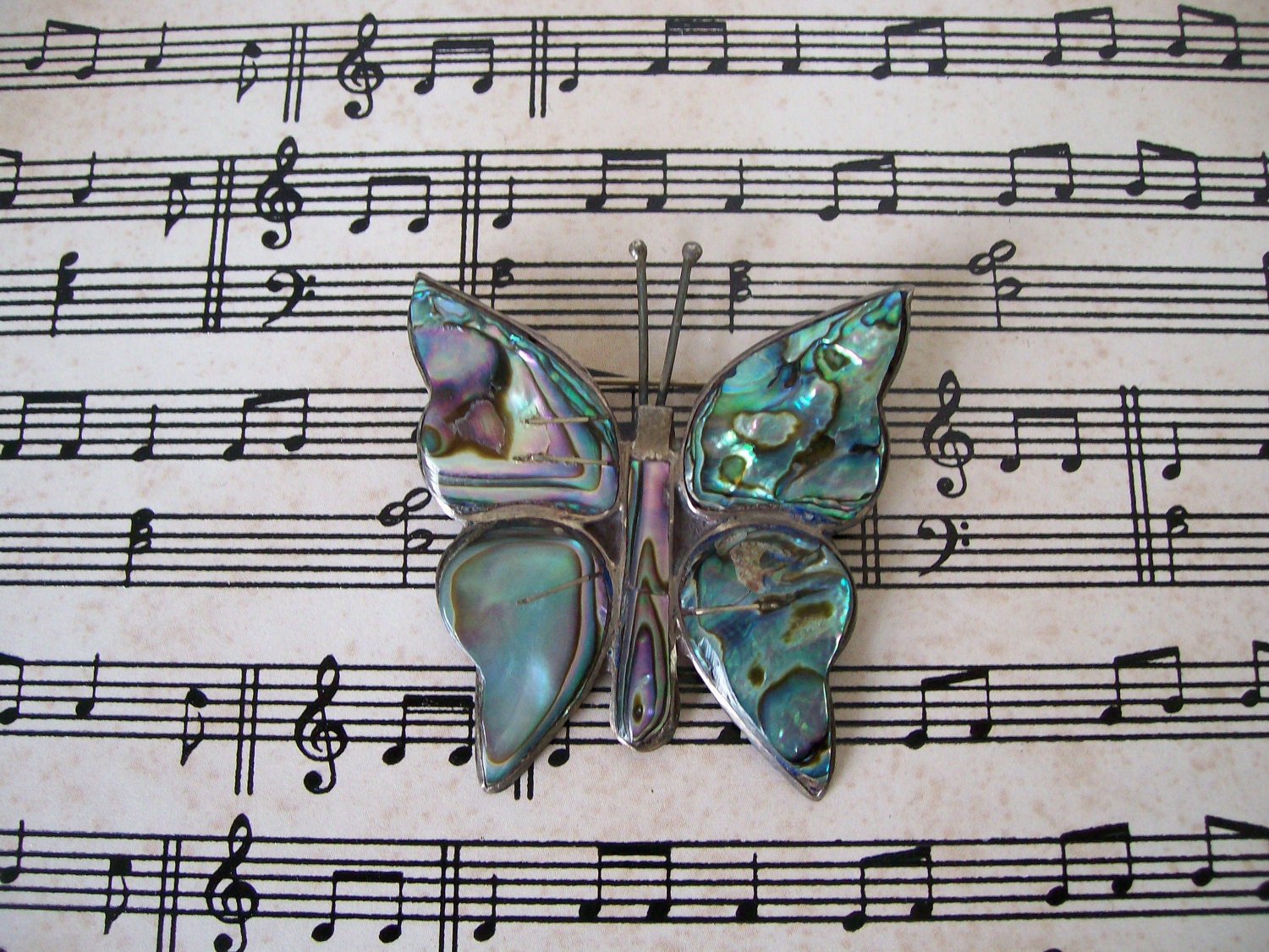 Abalone Butterfly Brooch