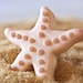 Aqua Mint Starfish Beach Wedding Cookie Favors // 1 doz. // Wedding Favors // Bridal Shower Favors // Star Fish Birthday Party Favors