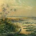 Antique Botanical Print Water Lilies Lotus Flowers 1892 Lithograph by Ernst Heyn    Victoria Regia