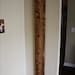 Oversized Wooden Ruler Growth Chart
