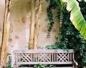Emerald garden film photo mothers day avocado deep green spring planting gardening - A peaceful moment - fine art film print 8 x 12