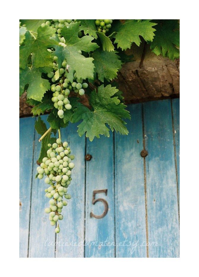 Provence blue door film photo number 5 emerald green grapes France village - La porte bleue - fine art film print 12 x 18 inches