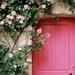 French pink door film photograph - La porte rose - fine art film print 8 X 12