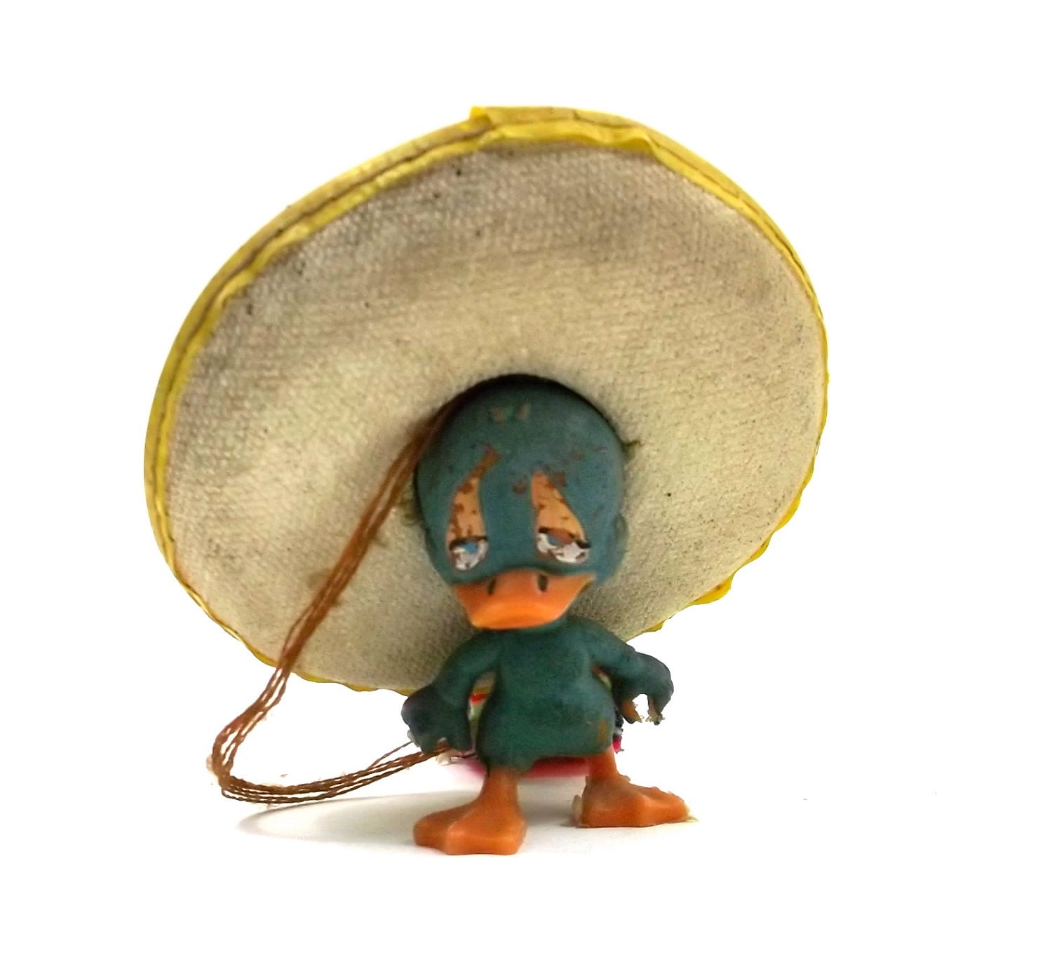 A Sad Duck