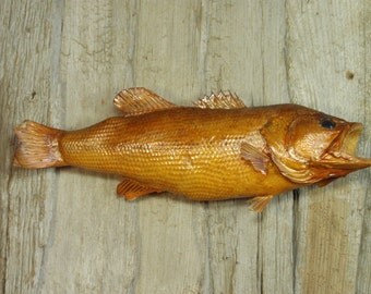 Old Taxidermy Largemouth Bass