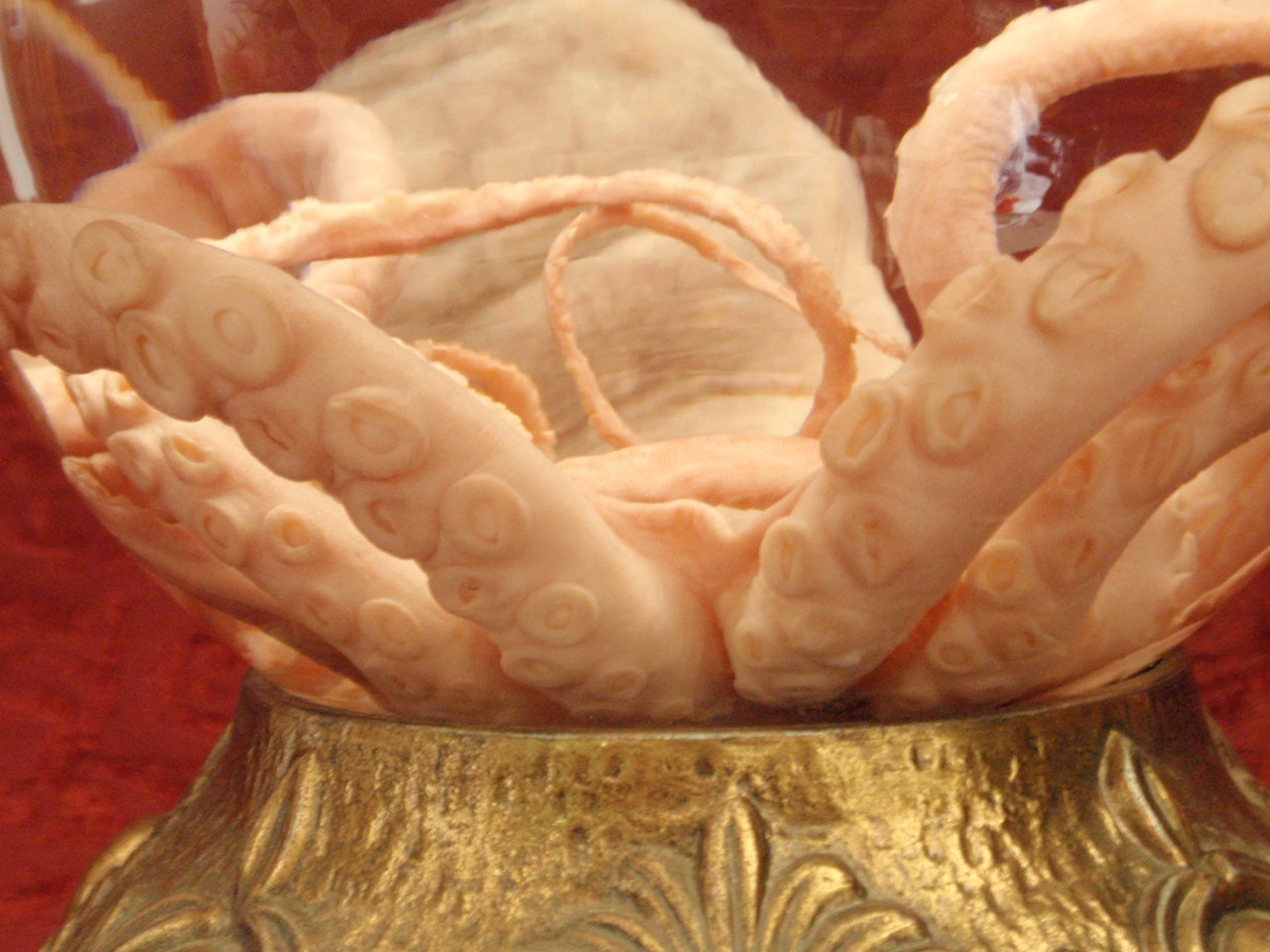 Preserved Octopus Wet Specimen in Globe on Metal Base