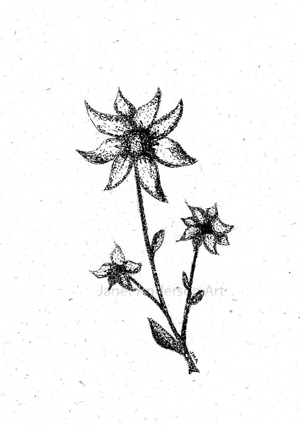 Wild Flower Card - Part of the "Leona Flower Collection"