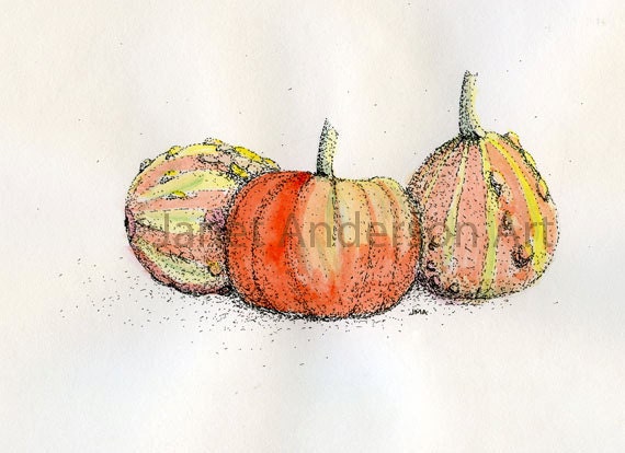 Pumpkin and Gourds  - 8 1/2 x 11 Signed Fine Art Print