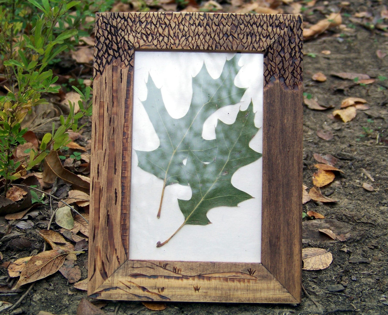 Tree Frame Wood Burned