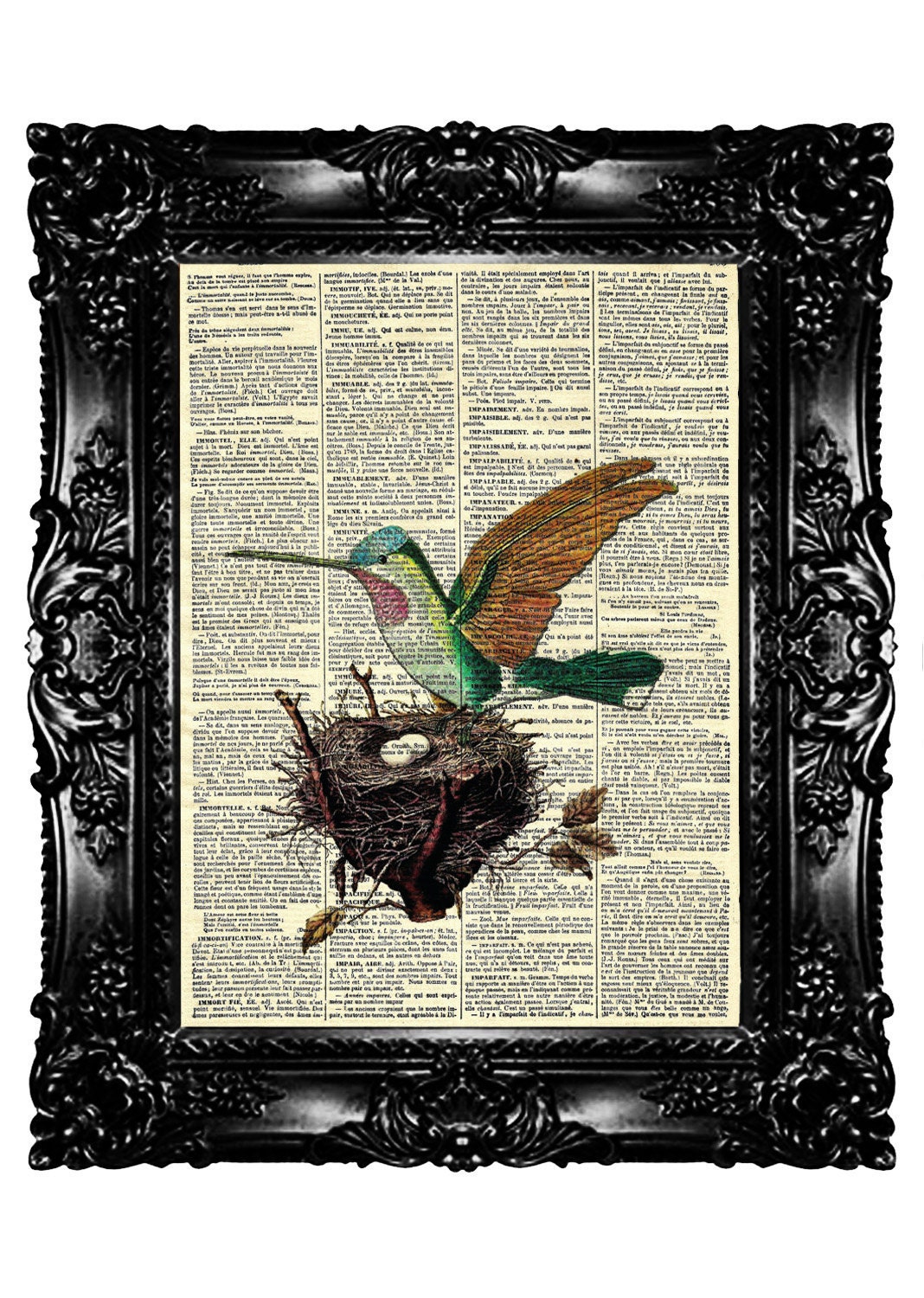 Upcycled Book Dictionary Print Art Prints Vintage Book Print Vintage Book Page ELEGANT Hummingbird & NEST in Egg vintage Buy 3 get 4th free