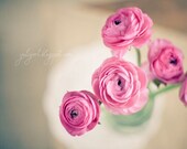 Morning Light - dreamy flower photography romantic gift for her ranunculus botanical nursery decor glamor luxury pale pink pastel purple