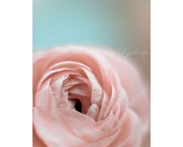 Dreamy flower photo romantic print gift soft pink ranunculus nursery decor glamor mint blue aqua floral botanical garden nature brown retro