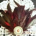 Mahagony Feather Clip OOAK