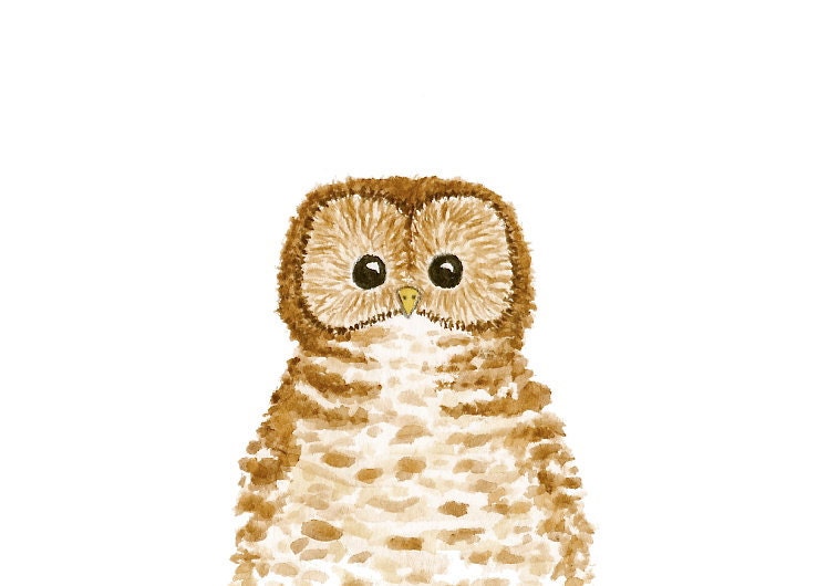 SALE - 15% OFF - Owl Print - 5 x 7
