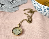 Herbarium. 'Ramalina farinacea' resin pendant