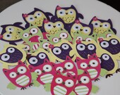 12- Assorted Girl Owl Cupcake Toppers