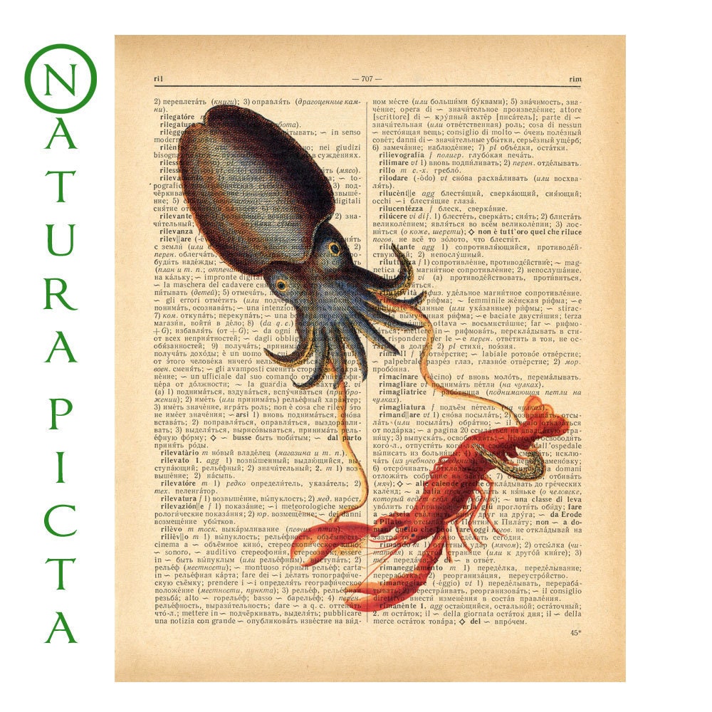 Blue cuttlefish attacks the lobster dictionary print - on Upcycled Vintage Dictionary page - by NATURA PICTA