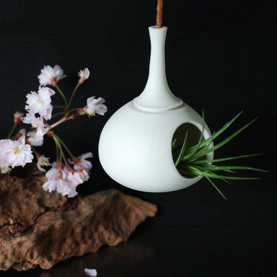 Sweet little teardrop hanging planter