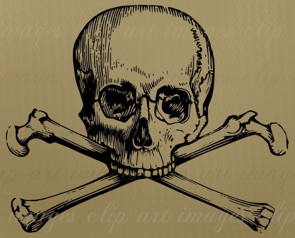Skull Clip Art, Royalty Free, Commercial Use, No Credit Required