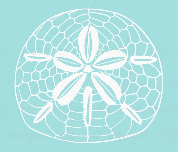 Sand Dollar Clip Art, Royalty Free, Beach House, Vintage Nautical Graphic, Digital Download Design Element, Commercial Use