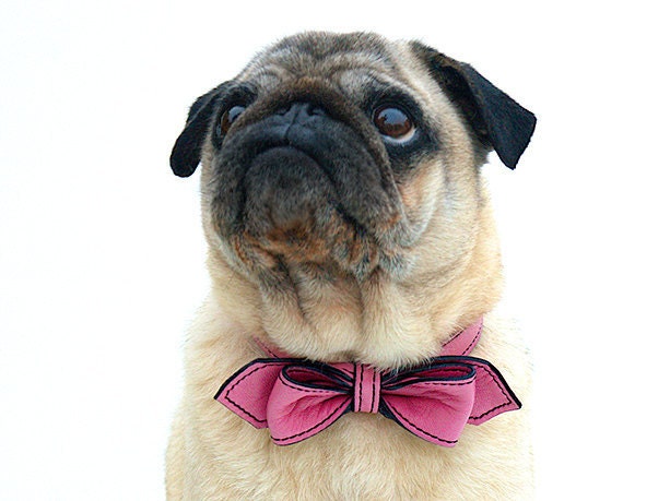 Wedding Pink Martini Bowtie Dog Collar - LuxeMutt