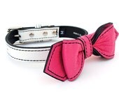 Peppermint Swirl Martini Bowtie Dog Collar
