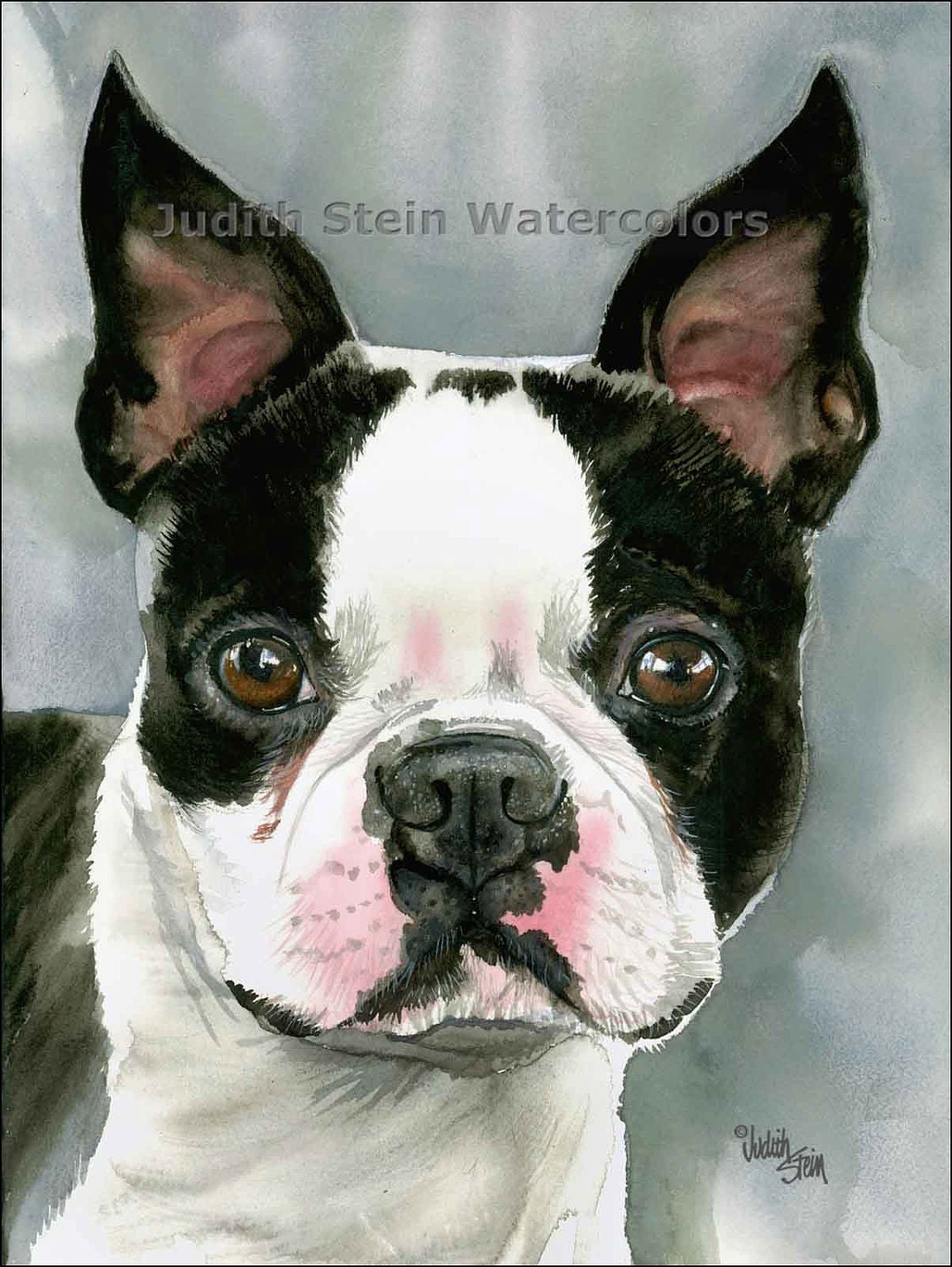 BOSTON TERRIER Toy Dog 11 x 15 Giclee Watercolor Print
