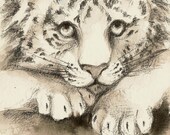 ORIGINAL ART: Little Tiger (6x4 Inch, drawing on W&N waterpaint postcard paper)