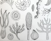Natural forms - Signed Original abstract hand pulled black and white Etching A/P