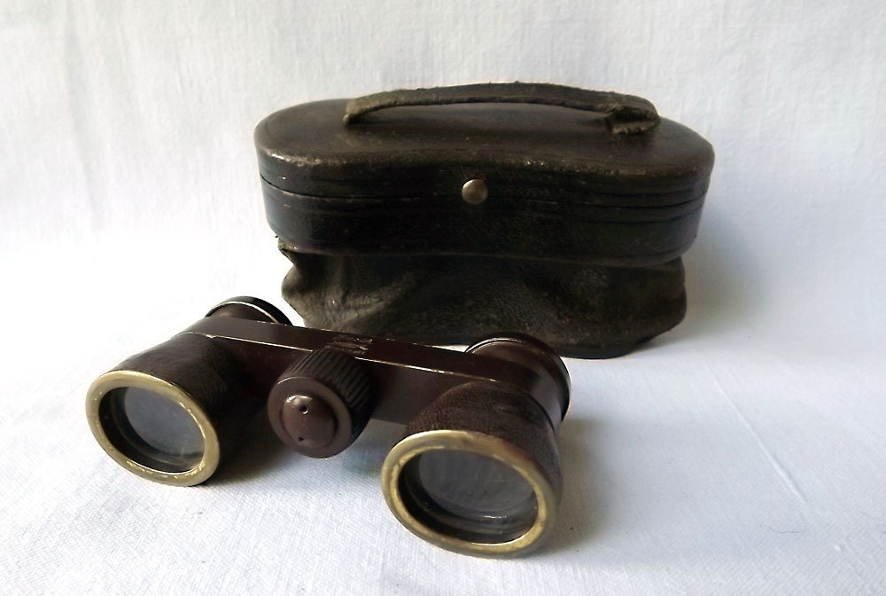 German opera glasses, field glasses, with leather case from 1920s, by Emil Busch - multinett