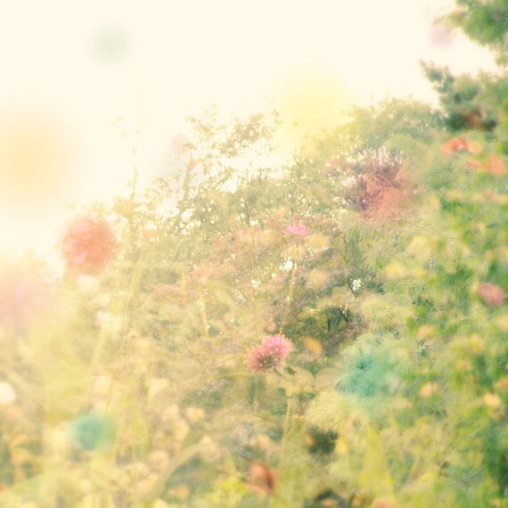 Sale - Buy 2 Get 1 Free - Nature Art Print Poster- Summers End - 15x15 - Open Edition - nature, green