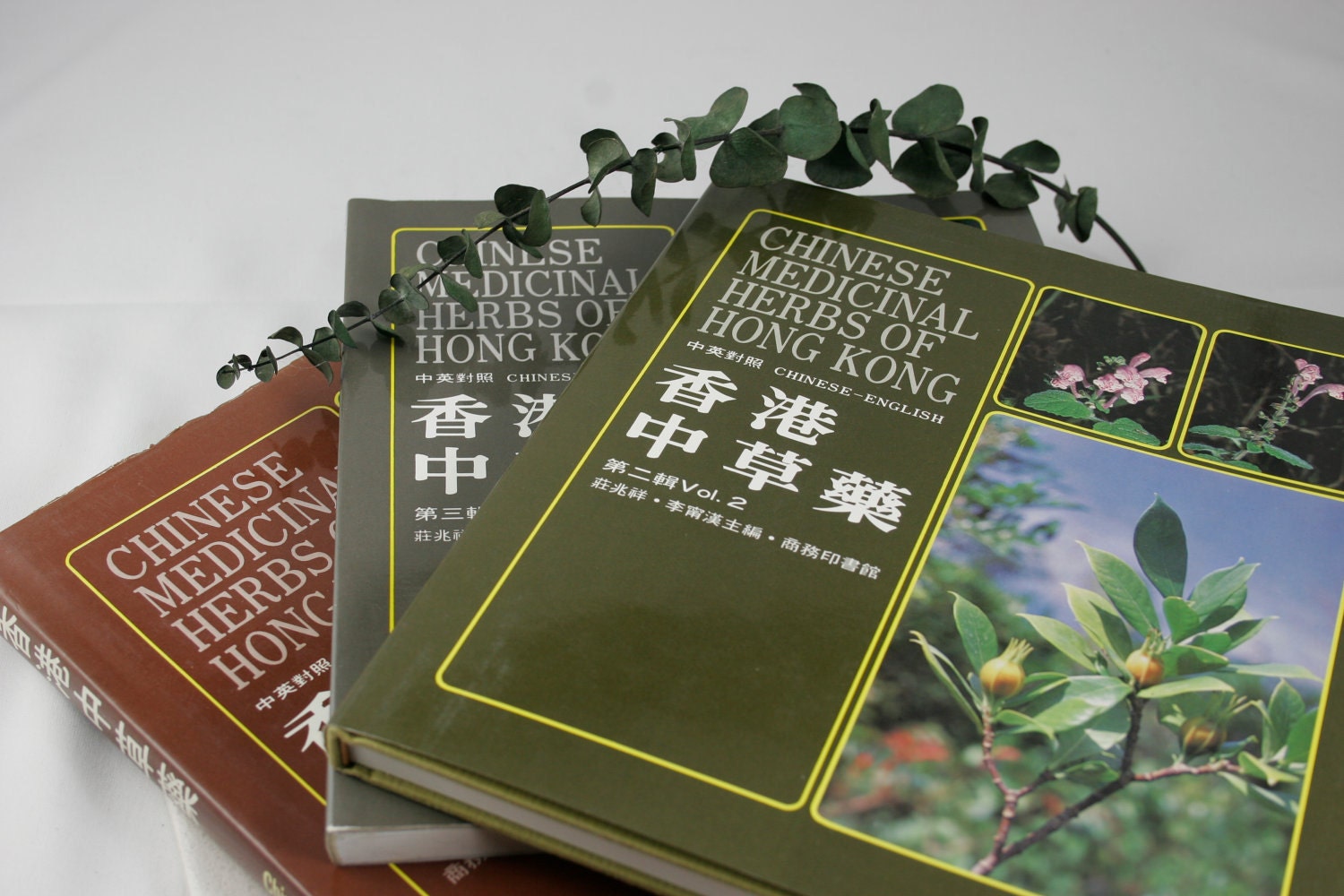 Vintage Rare Series "Chinese Medicinal Herbs of Hong Kong" Volume 1 - 3 in Chinese and English - Out of Print.  Free Shipping