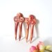 Diary of the traveler INDIA- mini hair forks