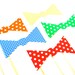 Photo Booth Props - The Circus Collection - 20 piece set - mustaches on a stick, lips, clown, circus- Photobooth Props